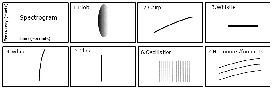 Seven Kinds Of Acoustic Event