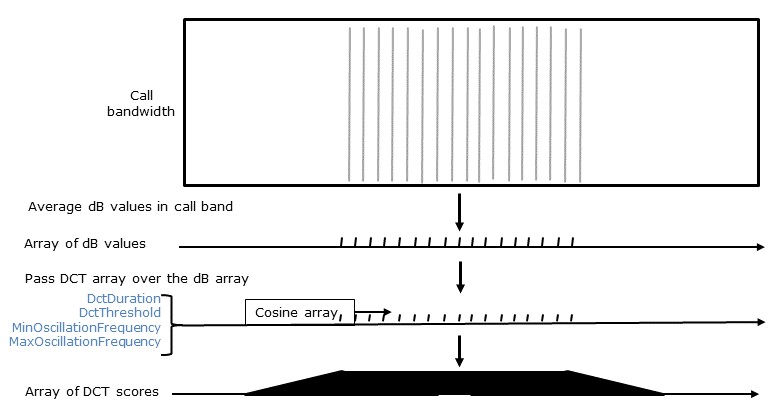 DCT parameters